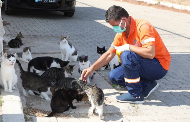 Gaziemir’de 5 bin 304 can dosta şefkat eli