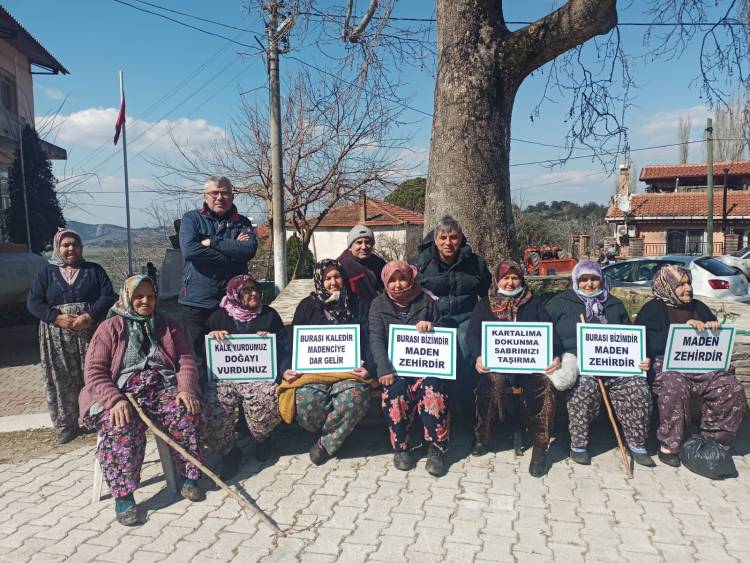 Tire'de belediyeden zeytin üreticisine destek