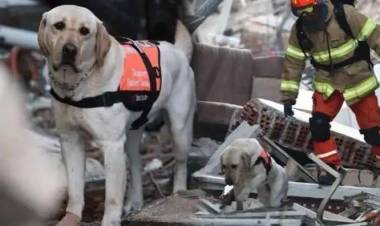 İzmir'de Sokak Köpekleri Arama Kurtarma Timine Kazandırılacak!