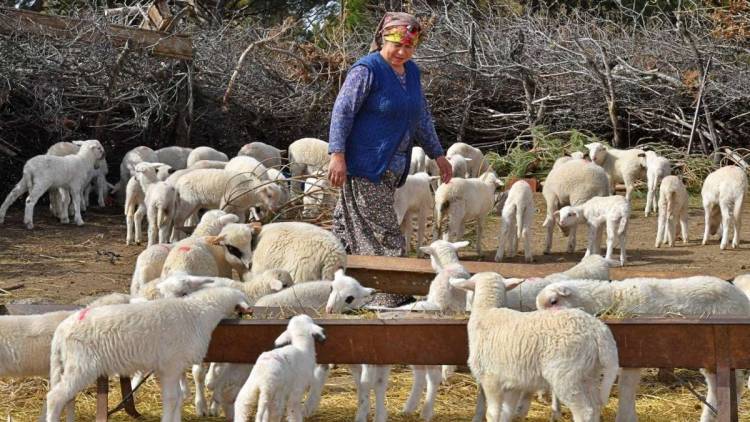 “İzmir Tarihinin En Büyük Süt Hareketi”