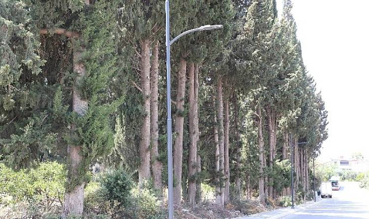 Sokaklar Aydınlatılıyor,  Darısı Beyinlere