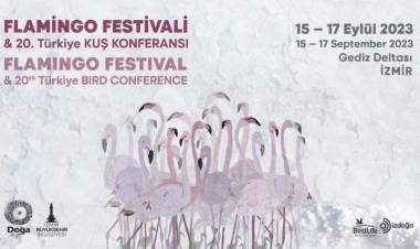 Türkiye’nin İlk Flamingo Festivali İzmir’de!
