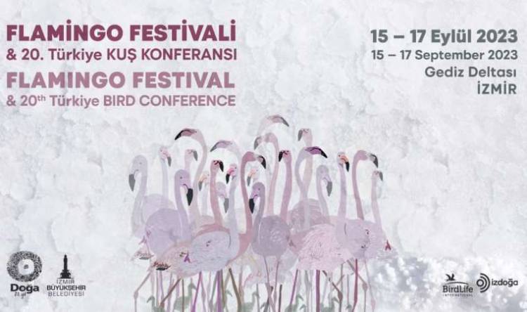 Türkiye’nin İlk Flamingo Festivali İzmir’de!