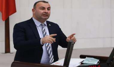 Ednan Arslan: "Türkiye'de şirket kurmakla yerli olunmuyor"