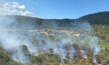 Bergama'daki Orman Yangını Kontrol Altına Alındı