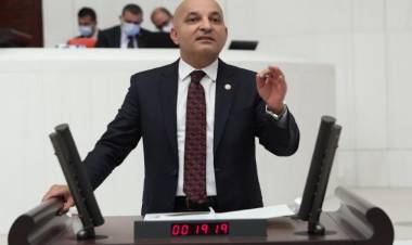 Mahir Polat: Danıştay, zeytinliklerin talanına 'dur' dedi